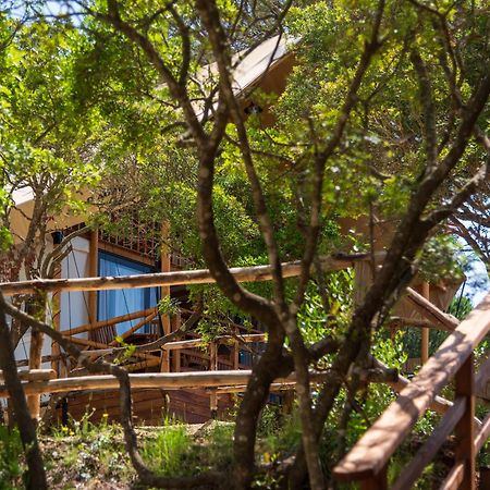 Camping Lacona Pineta Каполивери Екстериор снимка