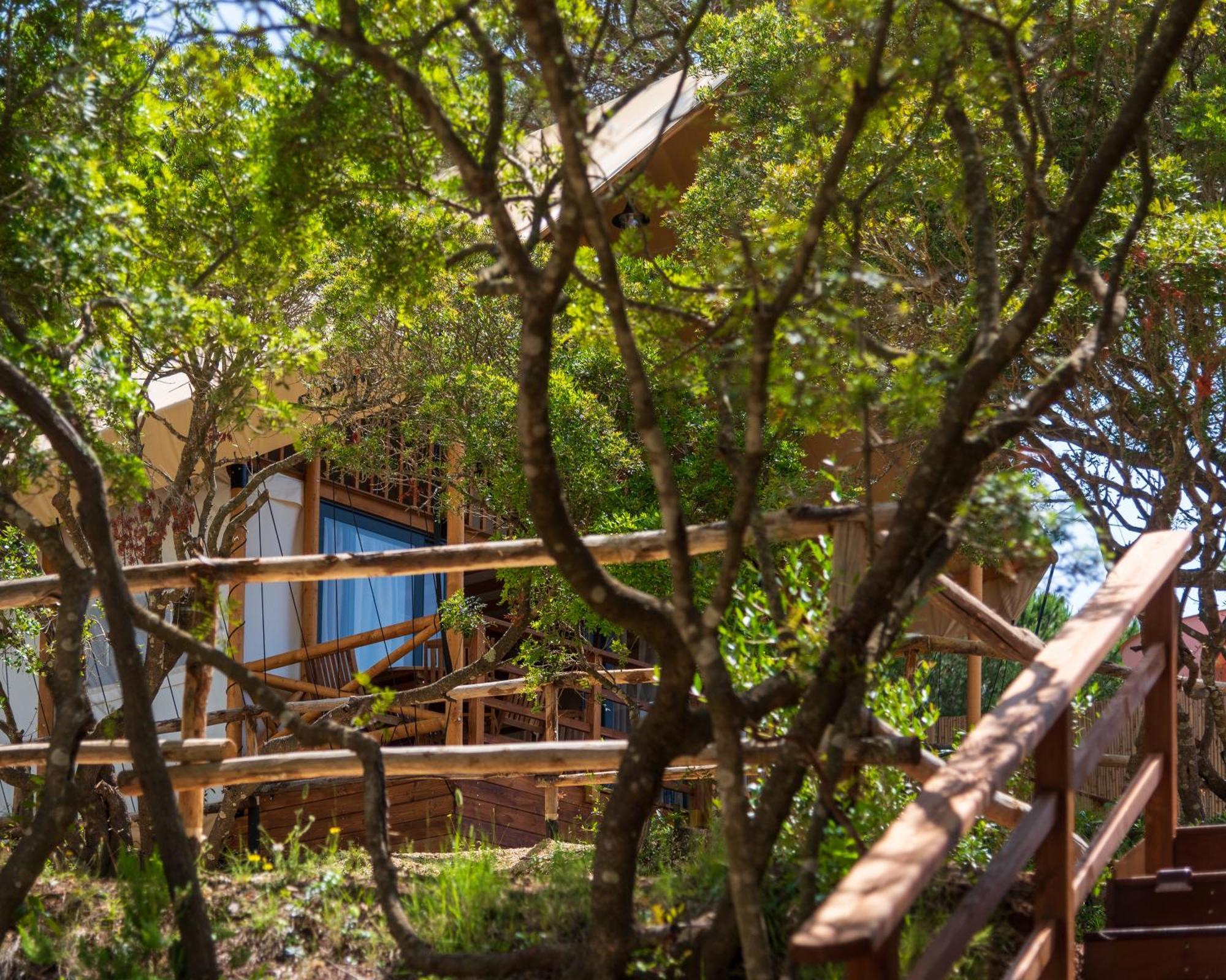 Camping Lacona Pineta Каполивери Екстериор снимка