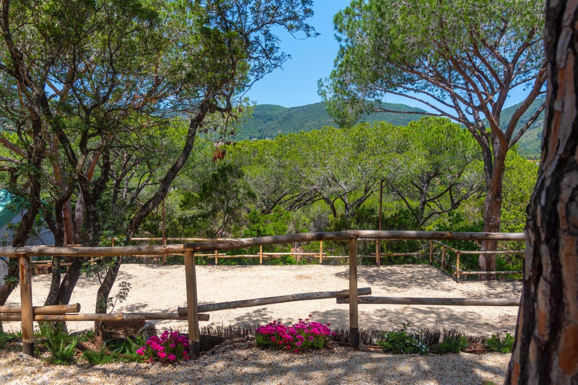 Camping Lacona Pineta Каполивери Екстериор снимка